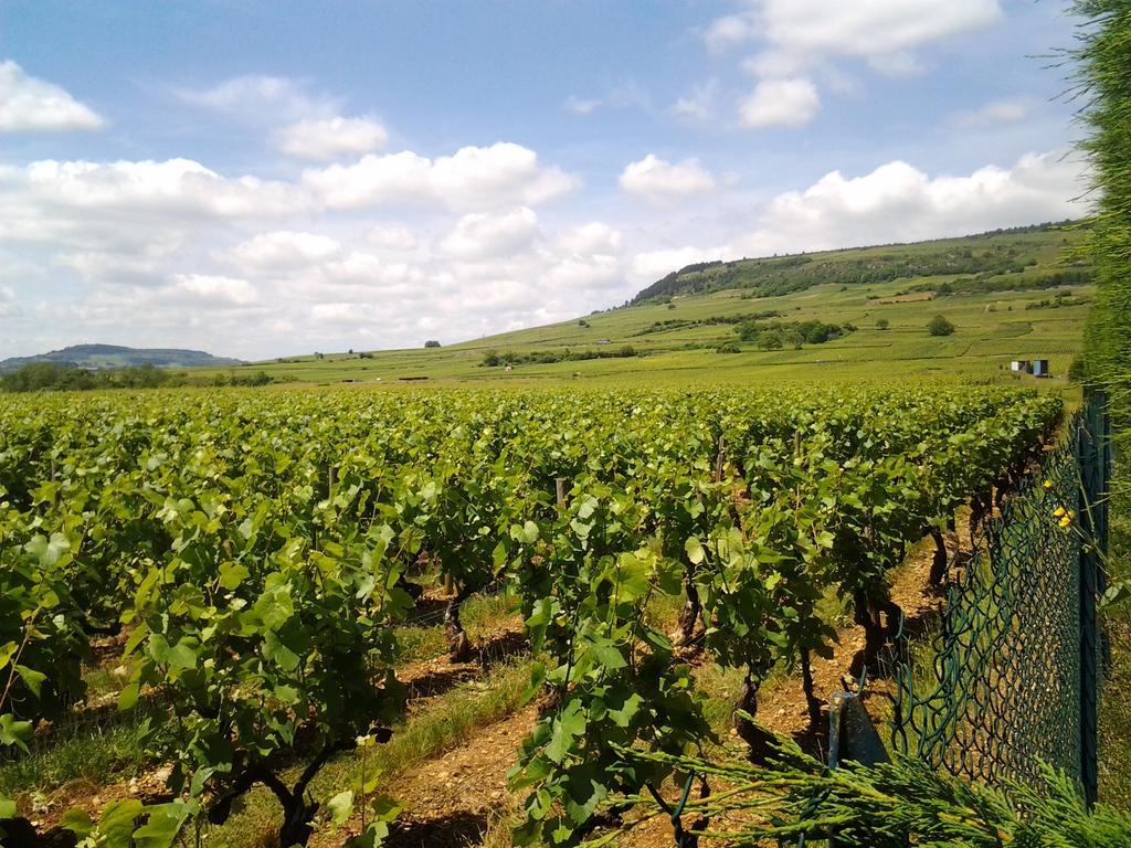 Camping De Santenay Santenay  Dış mekan fotoğraf